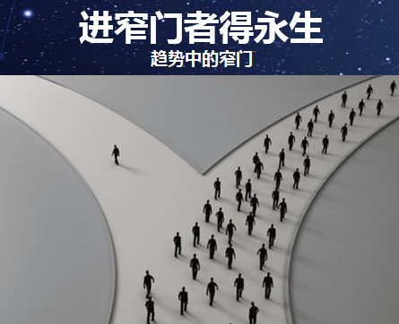 黑蝠网络差异化营销