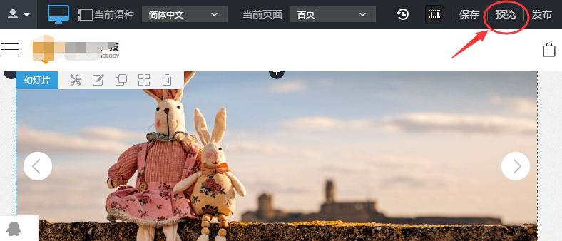 图5：单击“预览”