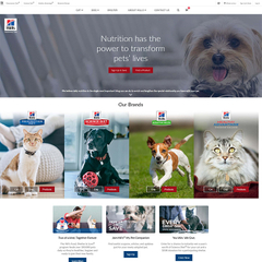 宠物行业外贸网站设计方案