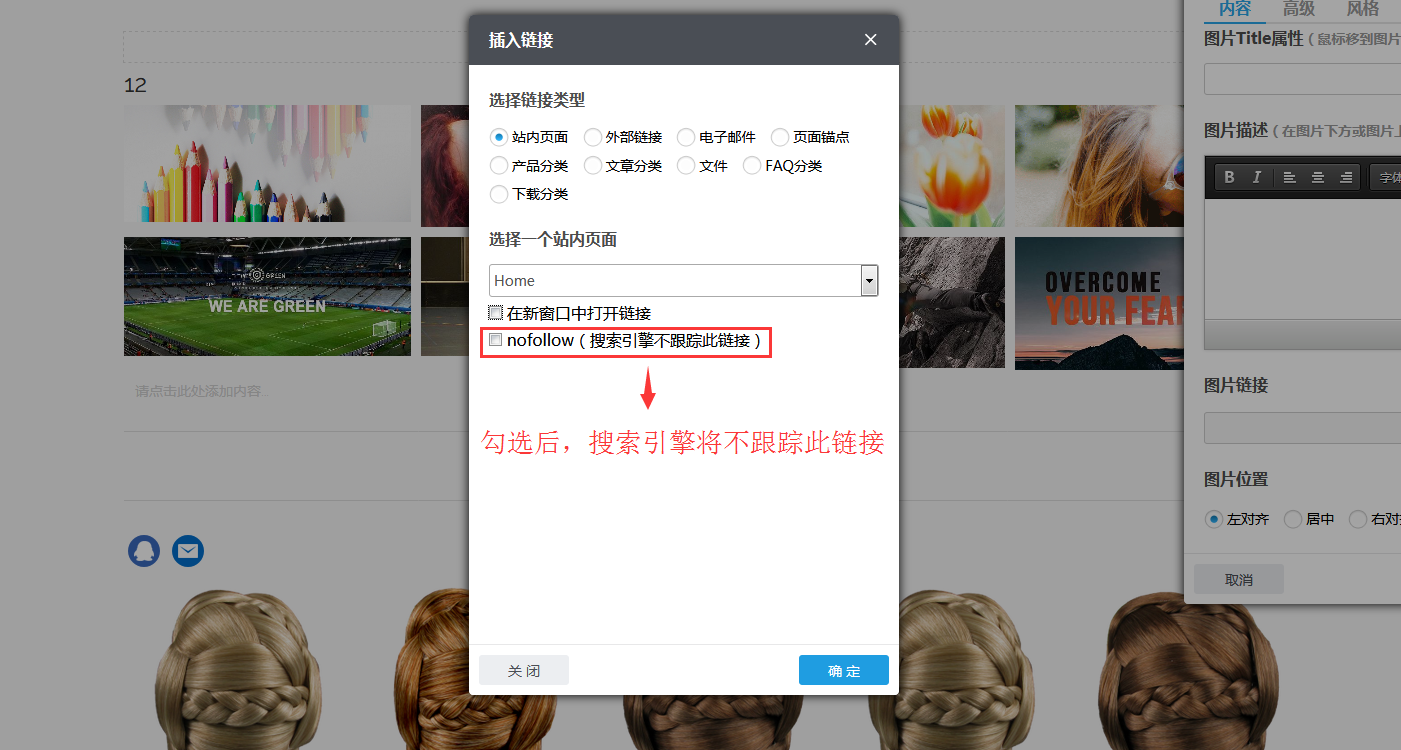 nofollow标签设置