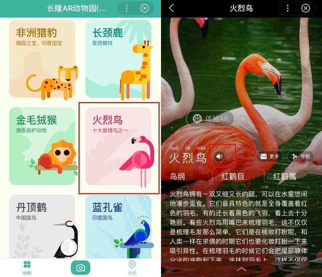 u=2129111052,3610228928&fm=173&app=25&f=JPEG